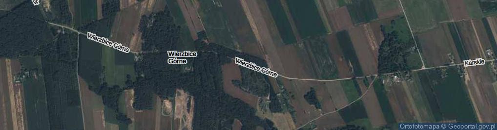 Zdjęcie satelitarne Wierzbice Górne ul.